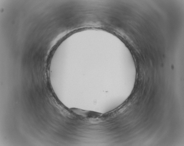 X0000064041168200602242313