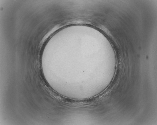 X0000064041173200602242313