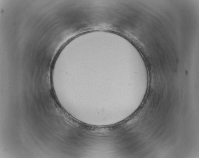 X0000064041174200602242313