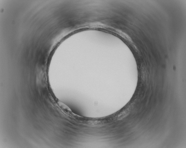 X0000064041176200602242313