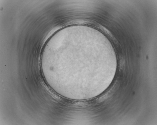 X0000064041178200602242313