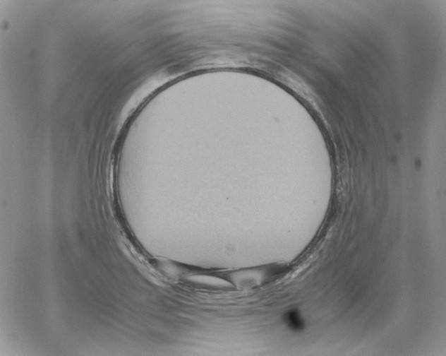 X0000064041179200602242313