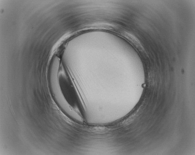 X0000064041180200602242313