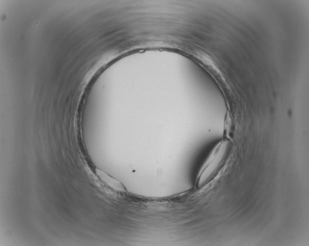 X0000064041181200602242313