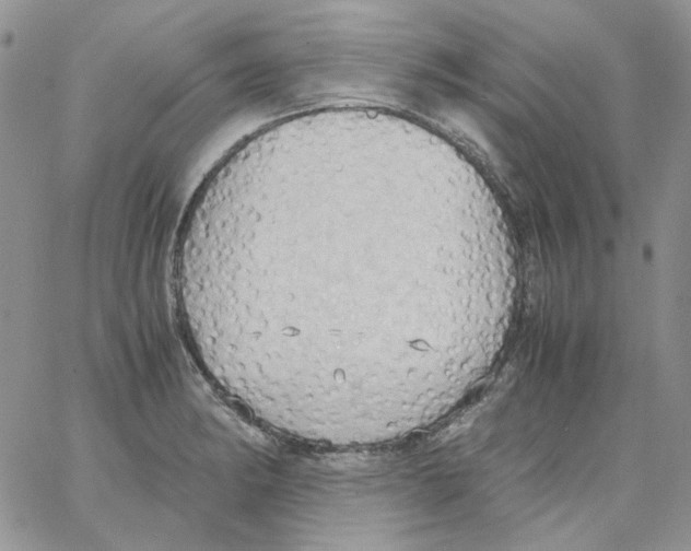 X0000064041182200602242313