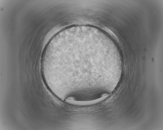 X0000064041183200602242313