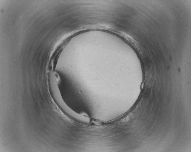 X0000064041184200602242313