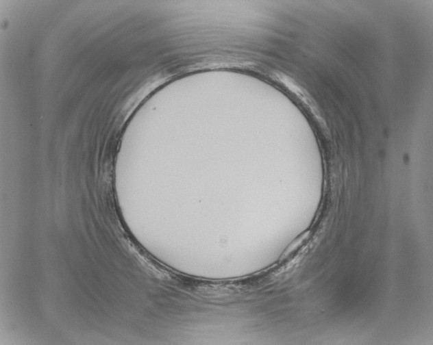 X0000064041185200602242313