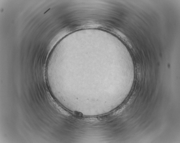 X0000064041186200602242313