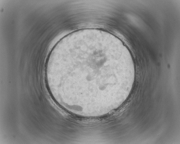 X0000064041187200602242313