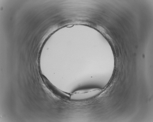 X0000064041189200602242313