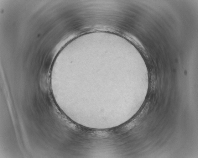 X0000064041190200602242313