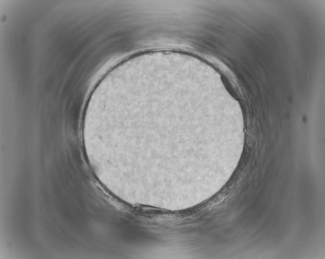 X0000064041191200602242313