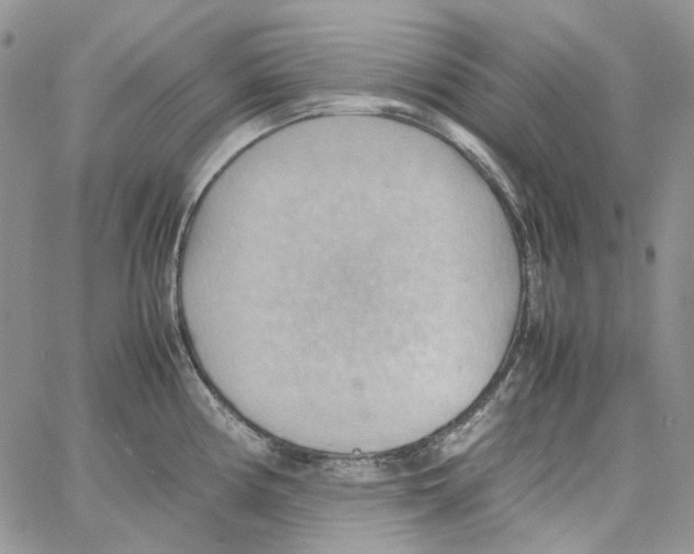 X0000064041194200602242313