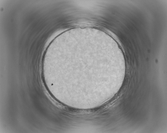 X0000064041195200602242313