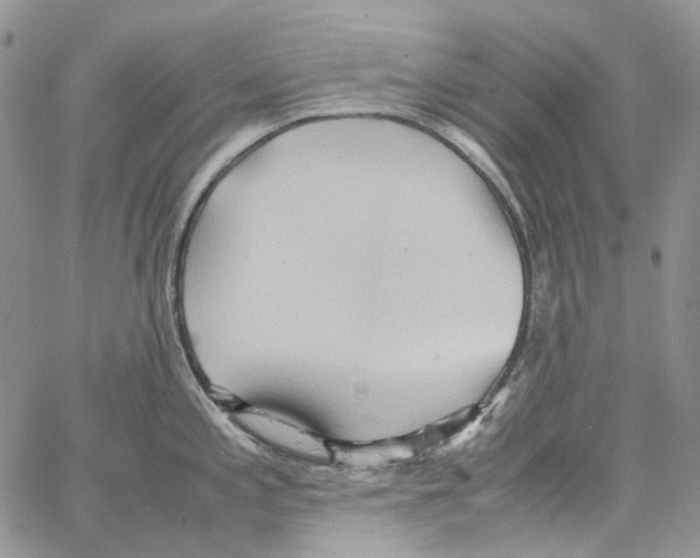 X0000064041197200602242313