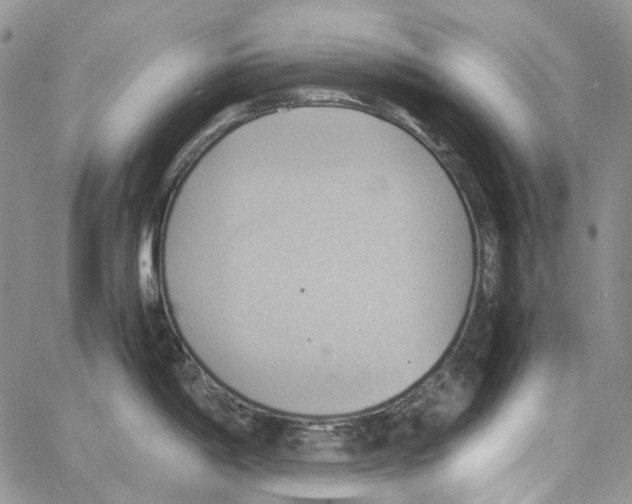 X0000064041198200602242313