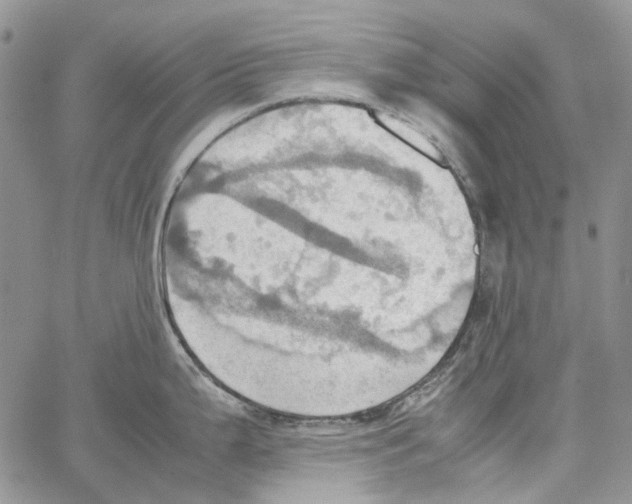 X0000064041199200602242313