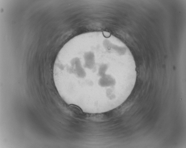 X0000064041201200602242312