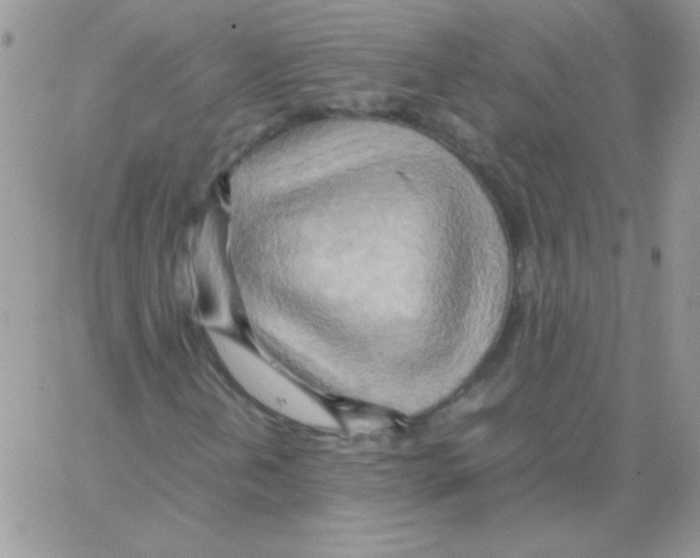 X0000064041202200602242312