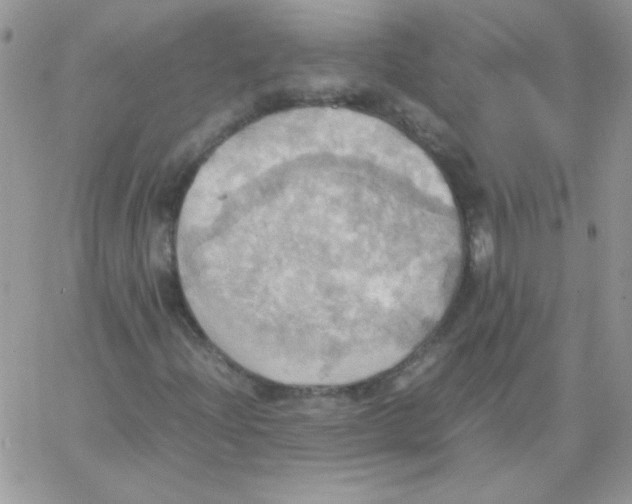 X0000064041204200602242312