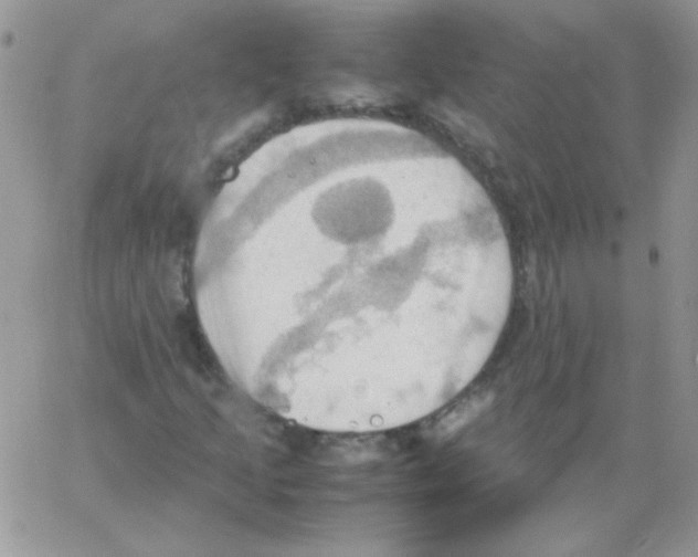 X0000064041205200602242312