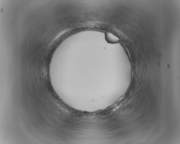 X0000064041206200602242312