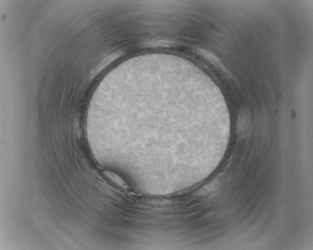 X0000064041209200602242312