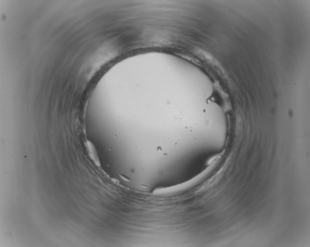 X0000064041210200602242312