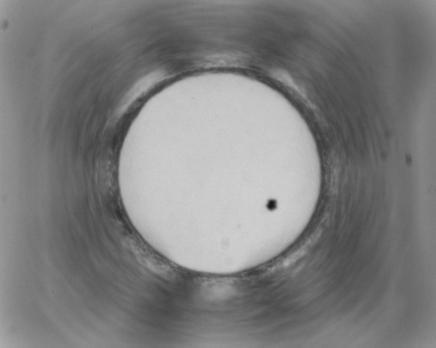 X0000064041211200602242312