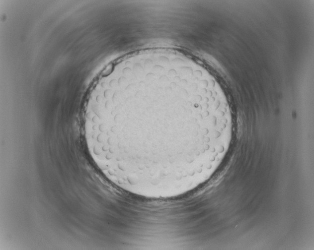 X0000064041212200602242312