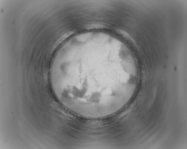 X0000064041217200602242312