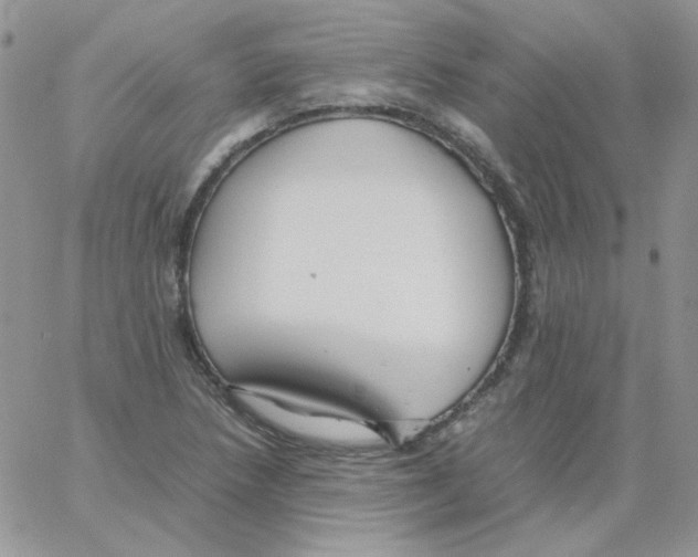 X0000064041218200602242312