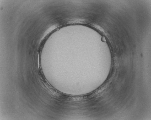 X0000064041219200602242312