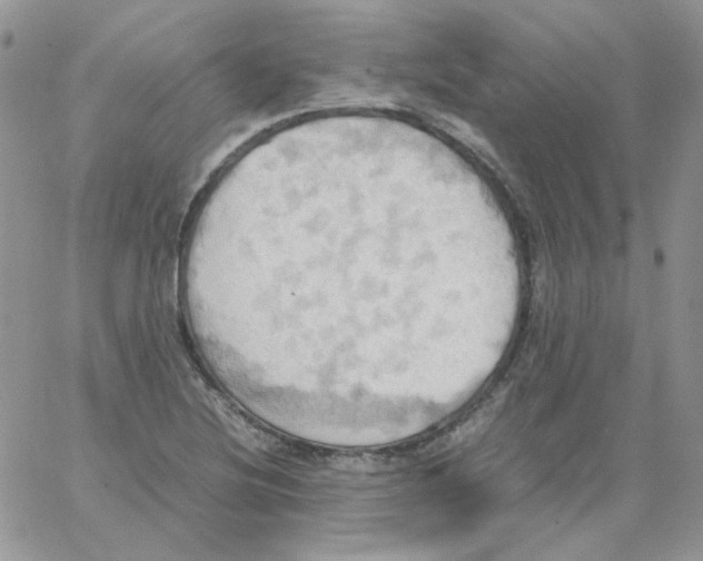 X0000064041220200602242312