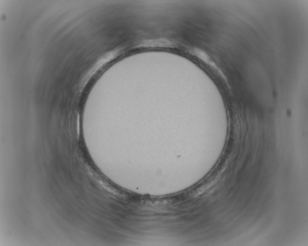 X0000064041221200602242312