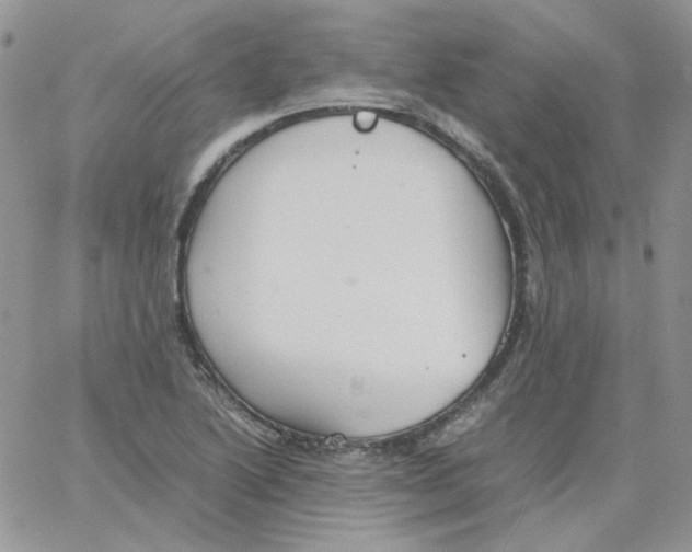 X0000064041222200602242312