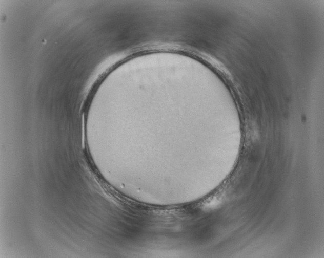 X0000064041223200602242312