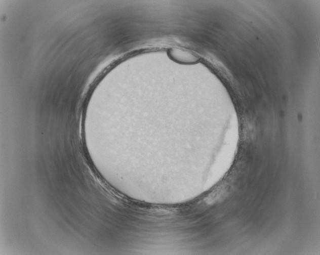 X0000064041224200602242312