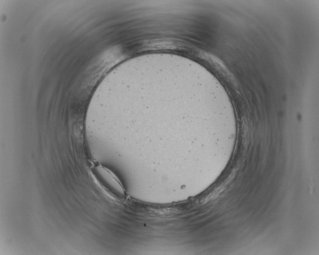 X0000064041225200602242312