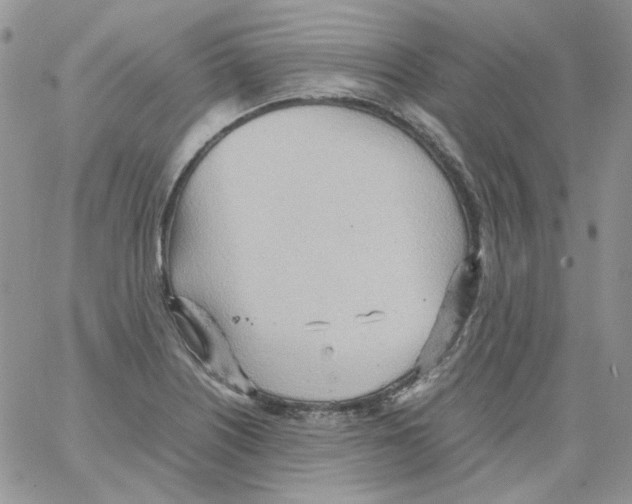 X0000064041226200602242312