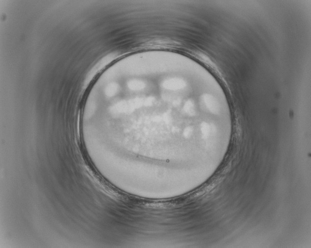 X0000064041227200602242312