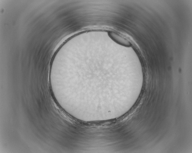 X0000064041228200602242312