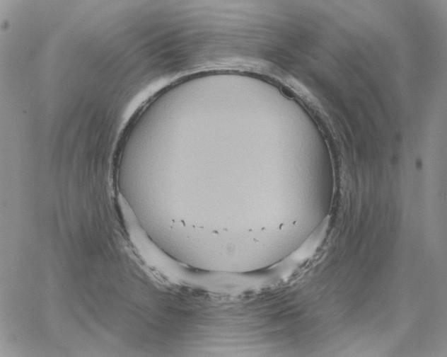 X0000064041230200602242312