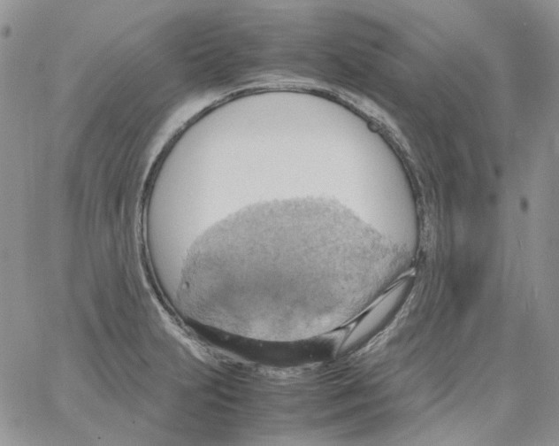 X0000064041231200602242312