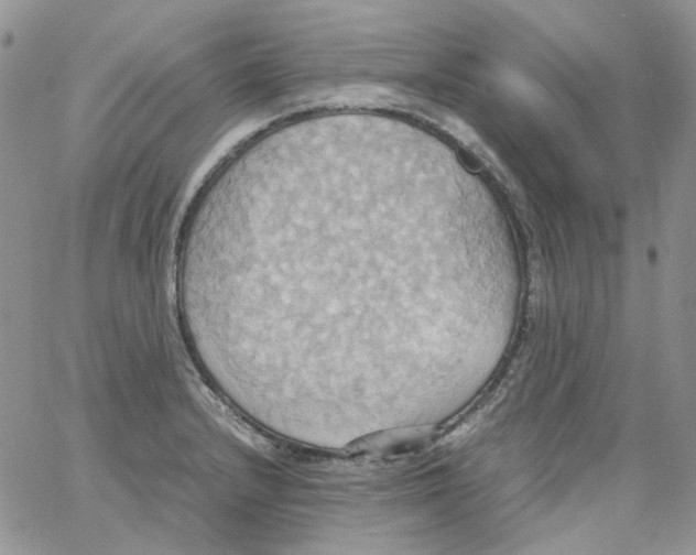 X0000064041232200602242312