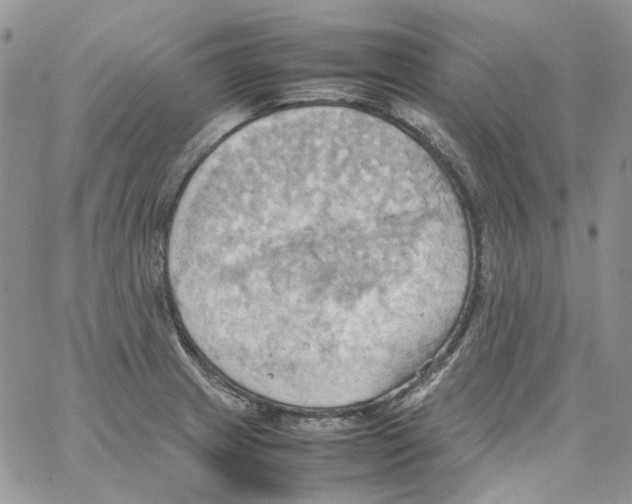 X0000064041233200602242312