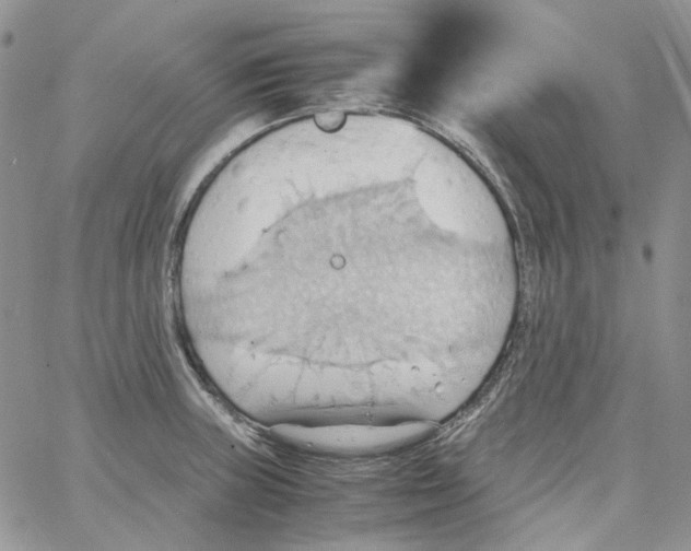 X0000064041235200602242312