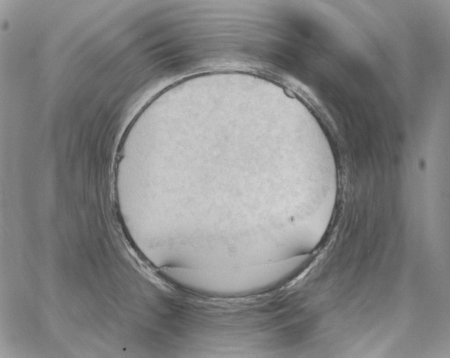 X0000064041236200602242312