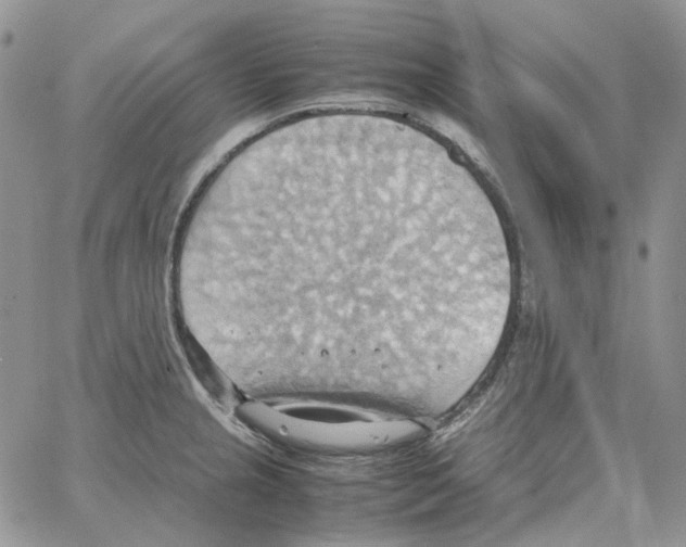 X0000064041237200602242312